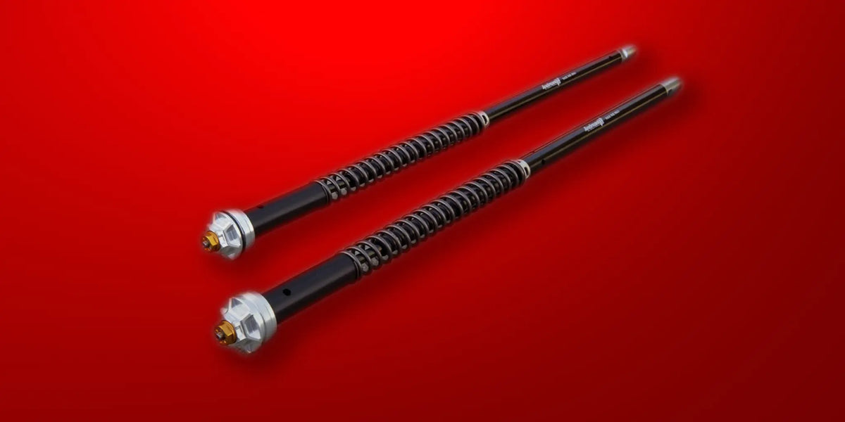 ANDREANI Suspension Werx